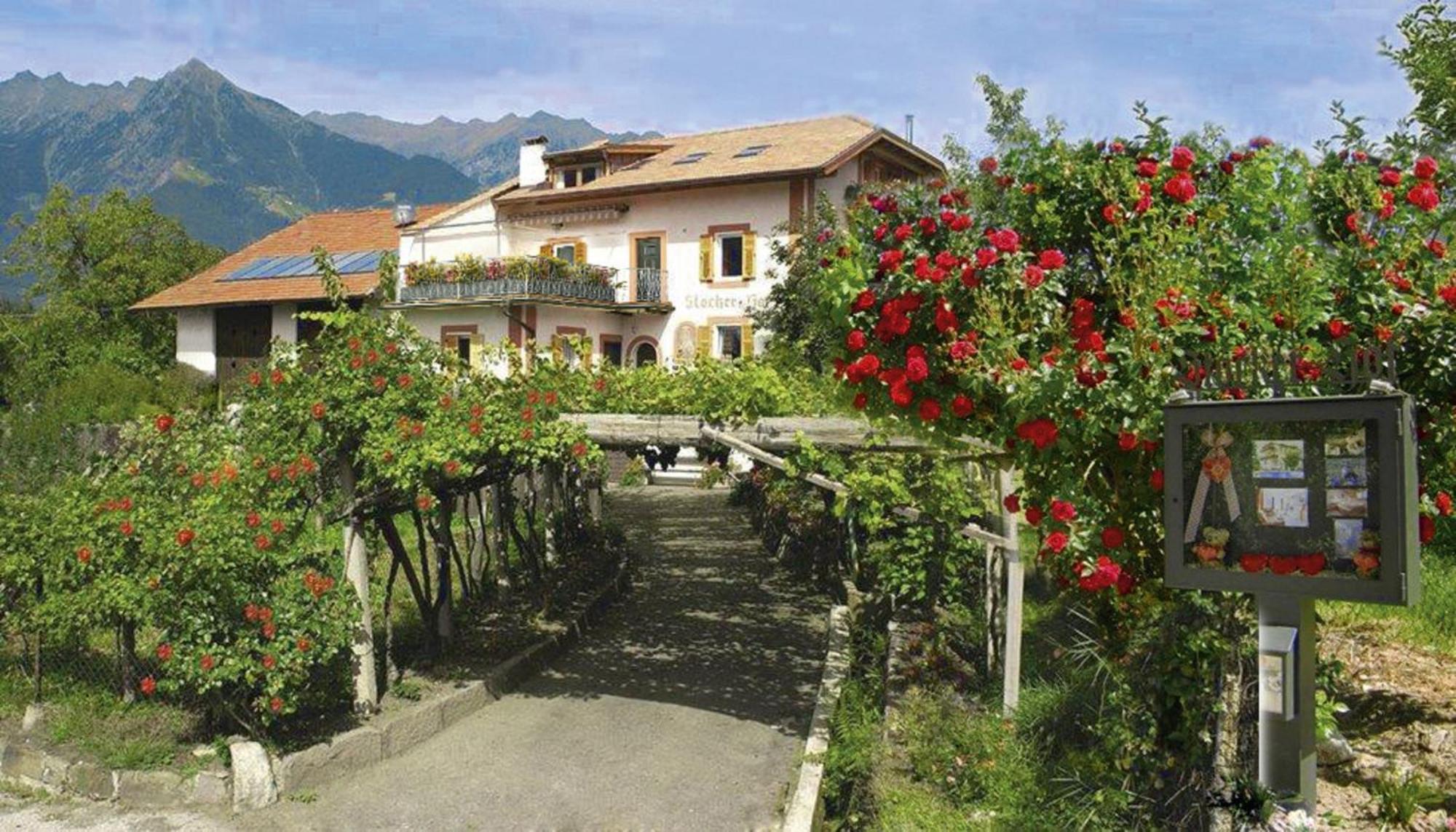 Apartment Stoeckerhof Apfel Merano