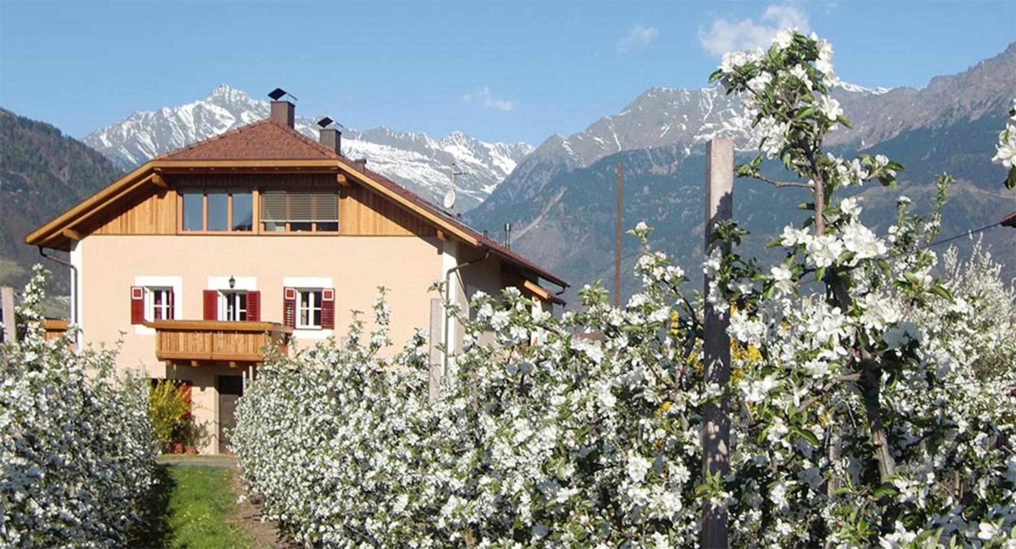 Apartment Stoeckerhof Apfel Merano